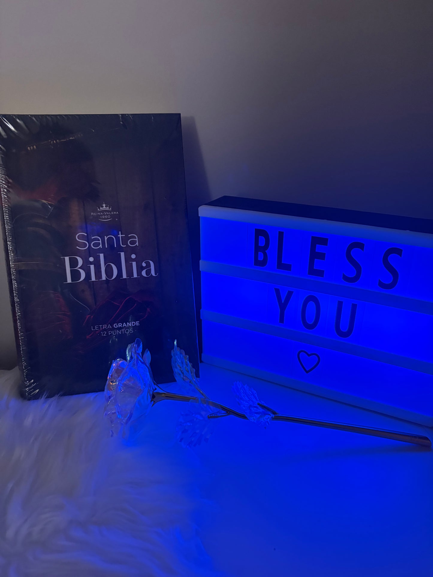 Biblia Armadura