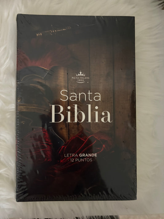 Biblia Armadura